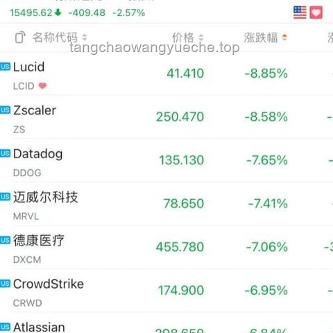 特斯拉市值暴跌的幕后真相与反思